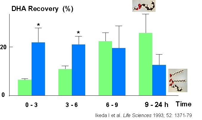 Rates of
                    fatty acid uptake