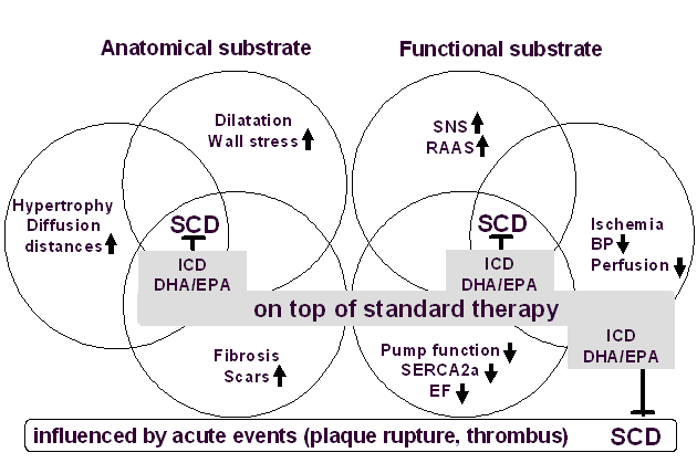 Sudden
                              cardiac death pathophysiology (Rupp
                              copyright)